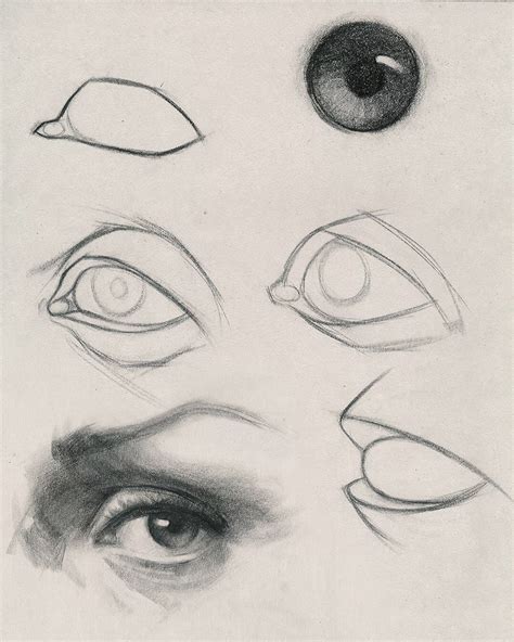 How to Draw Eyes | Eye drawing tutorials, Portrait drawing, Anatomy art