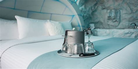 Modern Igloo Room