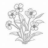 Flowers Coloring Pages Outline Sketch Drawing Vector Flower  sketch template