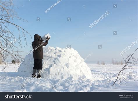 Man Building Igloo On Snow Glade Stock Photo 368114252 | Shutterstock