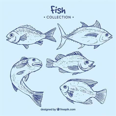 Premium Vector | Collection of blue fish