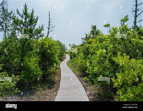 Pathway to light hi-res stock photography and images - Alamy