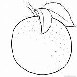 Free Grapefruit Coloring Pages Printable PDF  Coloringfoldercom sketch template