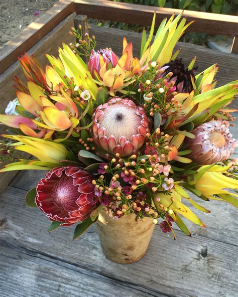 Protea & Leucadendron Bouquet | Protea bouquet, Bouquet, Fall wreath