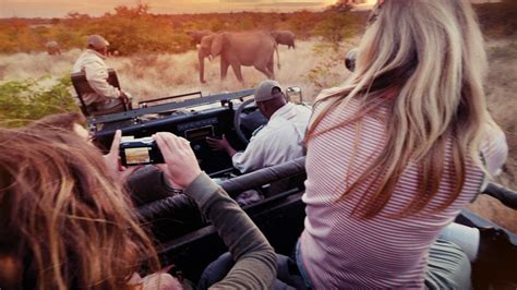 South Africa Safaris & Tours in 2024/25 - G Adventures