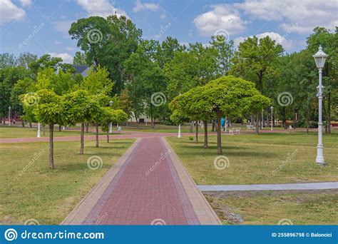 Park Palic Path Way stock photo. Image of grass, calm - 255896798