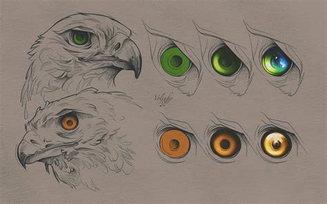 Birds of Prey Eyes Tutorial (PSD Included) by Volinfer on DeviantArt