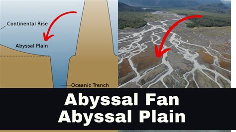 Abyssal Fan and Abyssal Plain - Geography Dictionary - YouTube