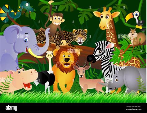 Jungle Wild Animals For