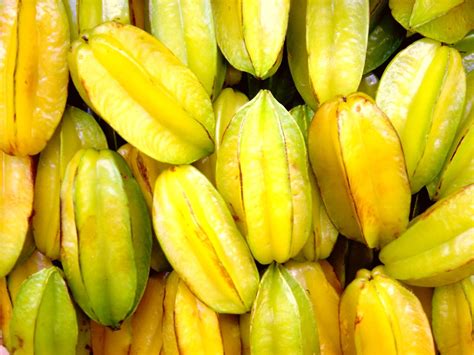 Fruit Carambola Free Photo Download | FreeImages