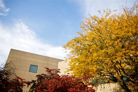 Staying healthy and safe on campus this fall: News at IU: Indiana University