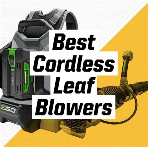 Best Cordless Leaf Blowers 2021 | Electric Leaf Blower Reviews