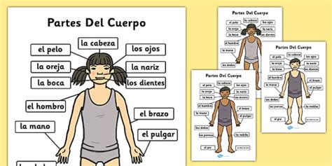 Body Labelled in Spanish - Parts of the Body A4 Spanish