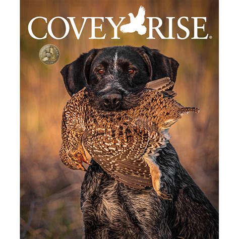 The October-November 2020 Preview | Covey Rise Magazine