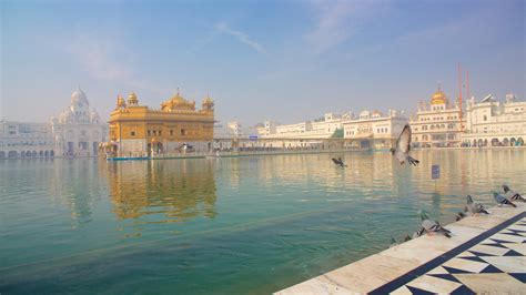 The Best 5 Star Hotels in Amritsar - 2020 Updated Prices | Expedia