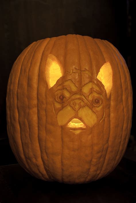 French Bulldog Pumpkin | Every Halloween my girlfriend and I… | Flickr