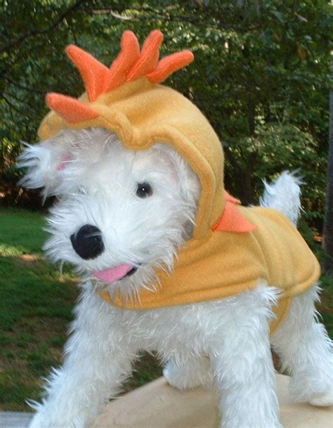 Wonder if Lug could fit in this/would wear this haha..Chicken Dog Costume, via Etsy. | Chicken ...