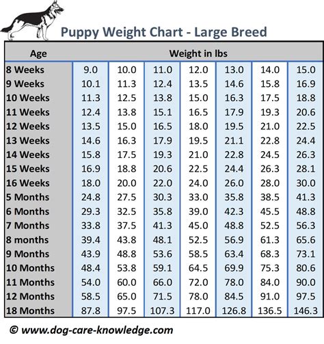 Puppy Weight Chart: This is How Big Your Dog Will Be