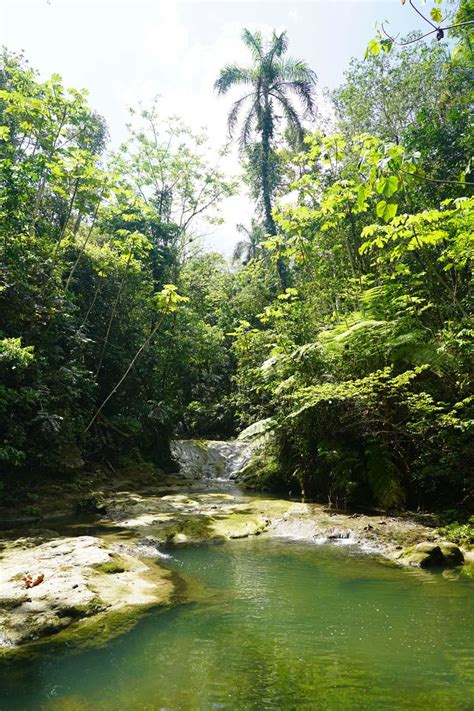 Gozalandia Waterfall - A Hit With Families In Western PR