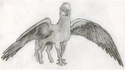 How To Draw A Hippogriff at How To Draw