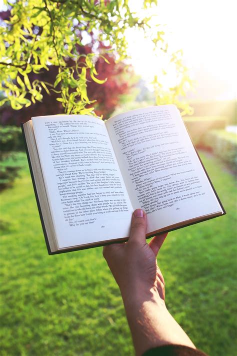 Fotos gratis : mano, libro, leer, puesta de sol, flor, leyendo, jardín ...