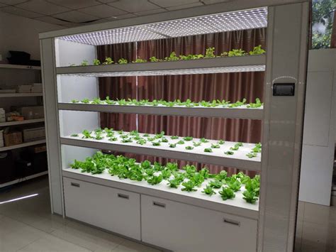 Indoor hydroponic farm Almirah – L – Hydroponics Systems for Home ...