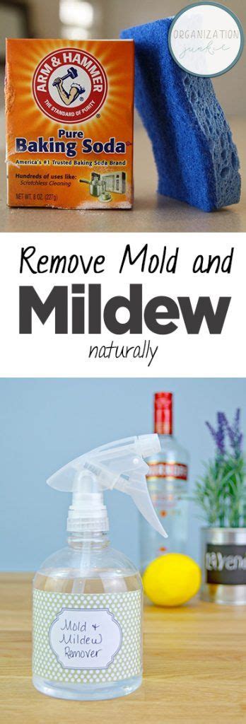 Remove Mold and Mildew Naturally