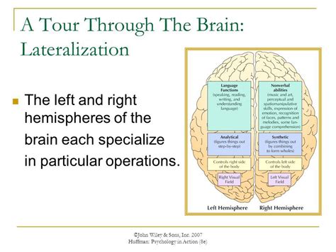 Lateralization: Notion of different functions are processed primarily on one side of the brain ...