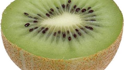 Germination Instructions for Kiwi | Healthy facts, Vitamins, Vitamin c