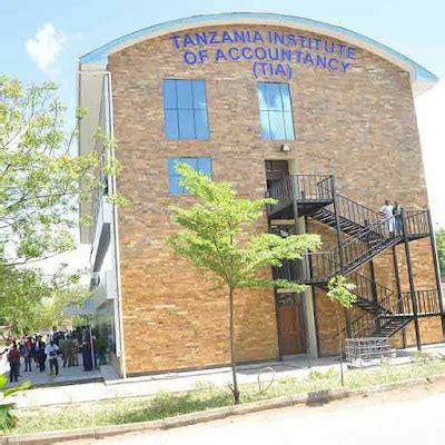 Tanzania Institute of Accountancy (TIA)