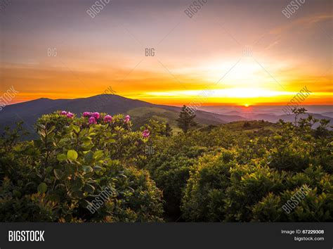 Roan Mountain Sunset Image & Photo (Free Trial) | Bigstock