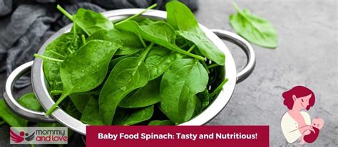 Baby Food Spinach: Tasty and Nutritious! - Mommy and Love