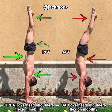 handstand exercises | Mouvements de gymnastique, Workout, Gymnastique