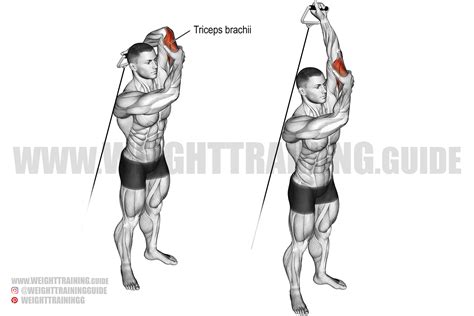 Standing overhead one-arm cable triceps extension instructions and video