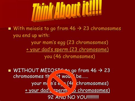 PPT - Meiosis and Gamete Formation PowerPoint Presentation, free ...