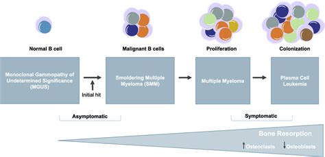 Stages of Multiple myeloma (MM) progression. The malignant ...