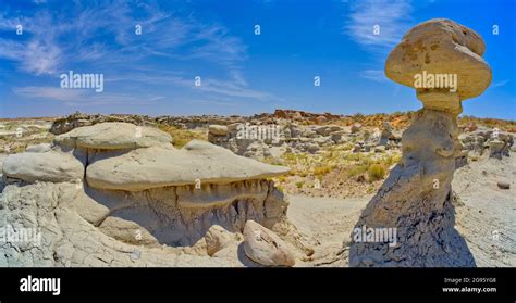 Field of hoodoos in Goblin Garden in the Flat Tops of Petrified Forest ...