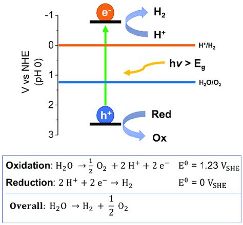 Mechanism and redox reaction involved in photocatalytic water splitting. | Download Scientific ...