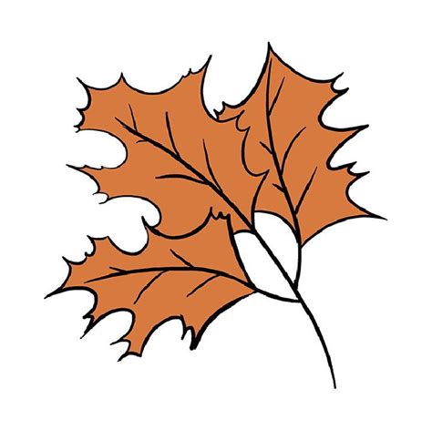 15 Easy Fall Leaf Drawing Ideas - Fall Leaves Drawing