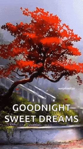 Good Night Sweet Dreams GIF - Good Night Sweet Dreams Fall - Discover & Share GIFs in 2022 ...