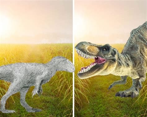 The Yutyrannus Vs. T-rex: Size Vs. Smarts | Dino Digest