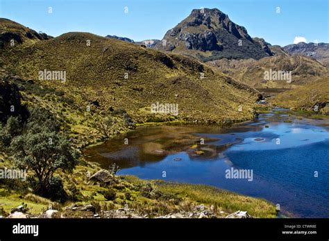 Beautiful landscape of Parque Cajas, Ecuador Stock Photo - Alamy