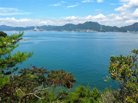 Ultimate Guide to Okunoshima, Rabbit Island, Japan - Erika's Travelventures