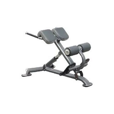 Hyperextension Machine, Weight: 55-120 Kg at Rs 22000 in New Delhi | ID: 11776245630