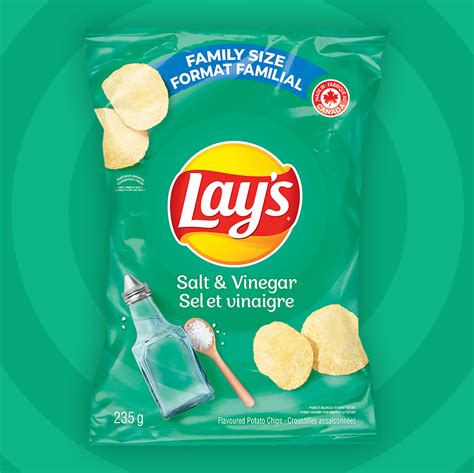 LAY'S Salt & Vinegar Flavoured Potato Chips | LAY'S