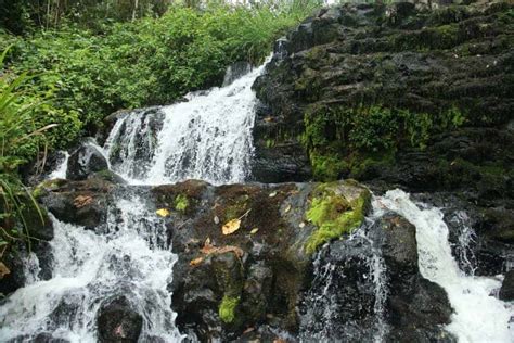 Climbing Mt Kenya: Spectacular Hiking in the Wild - An Insider's Look