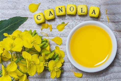 Is Canola Oil Bad for You? - Keto Nutrition