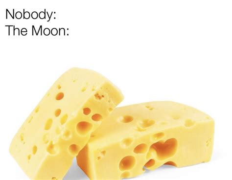 THE MOON IS MADE OUT OF CHEESE : r/dankmemes