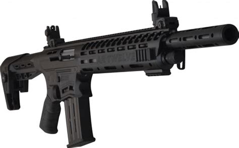 Panzer Arms AR-12. A great mag fed shotgun for the money.