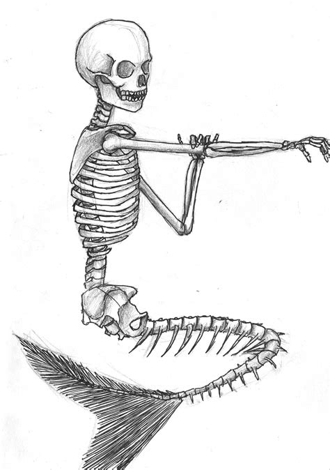 Pin by alice on Fish People | Skeleton art drawing, Mermaid skeleton ...